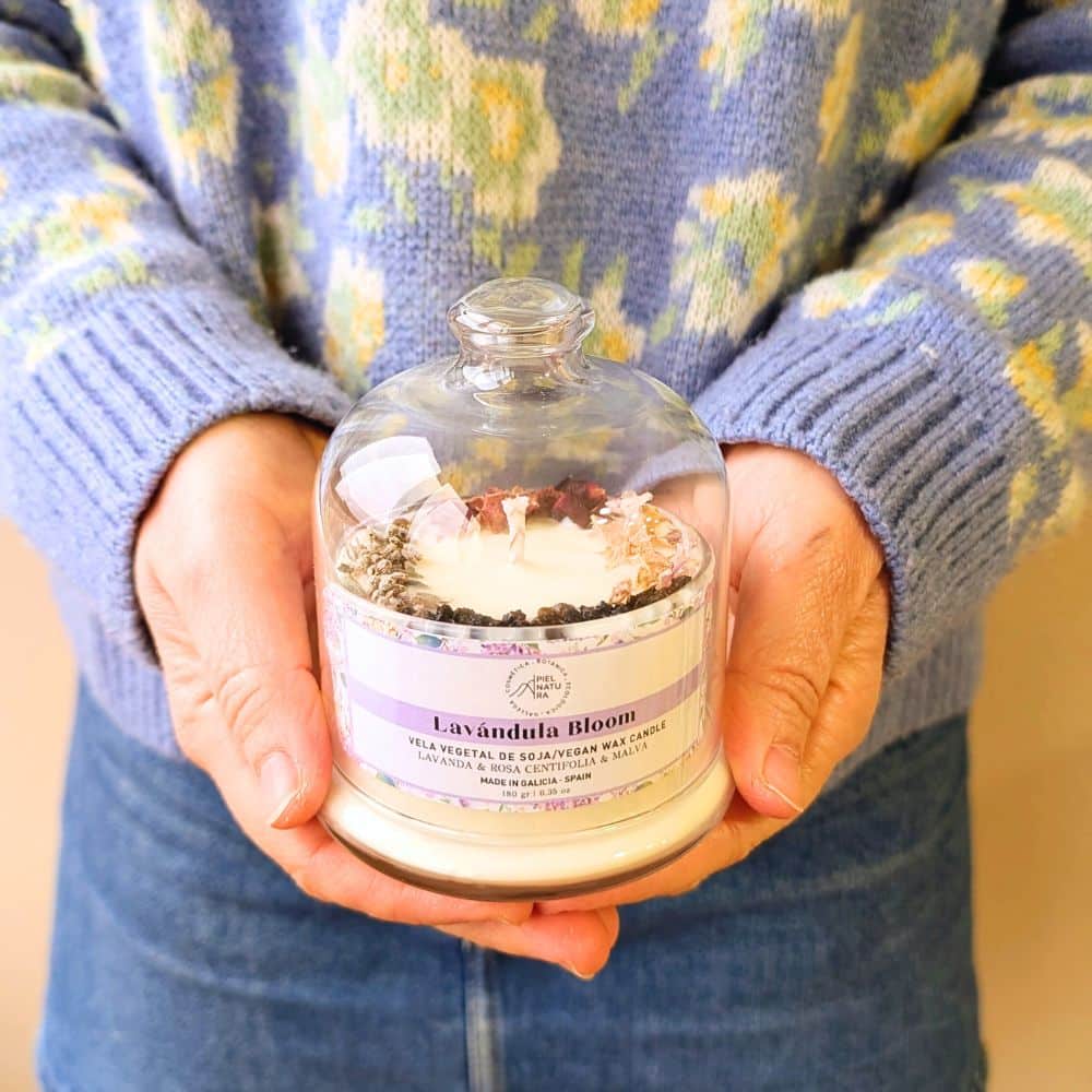 vela lavandula bloom