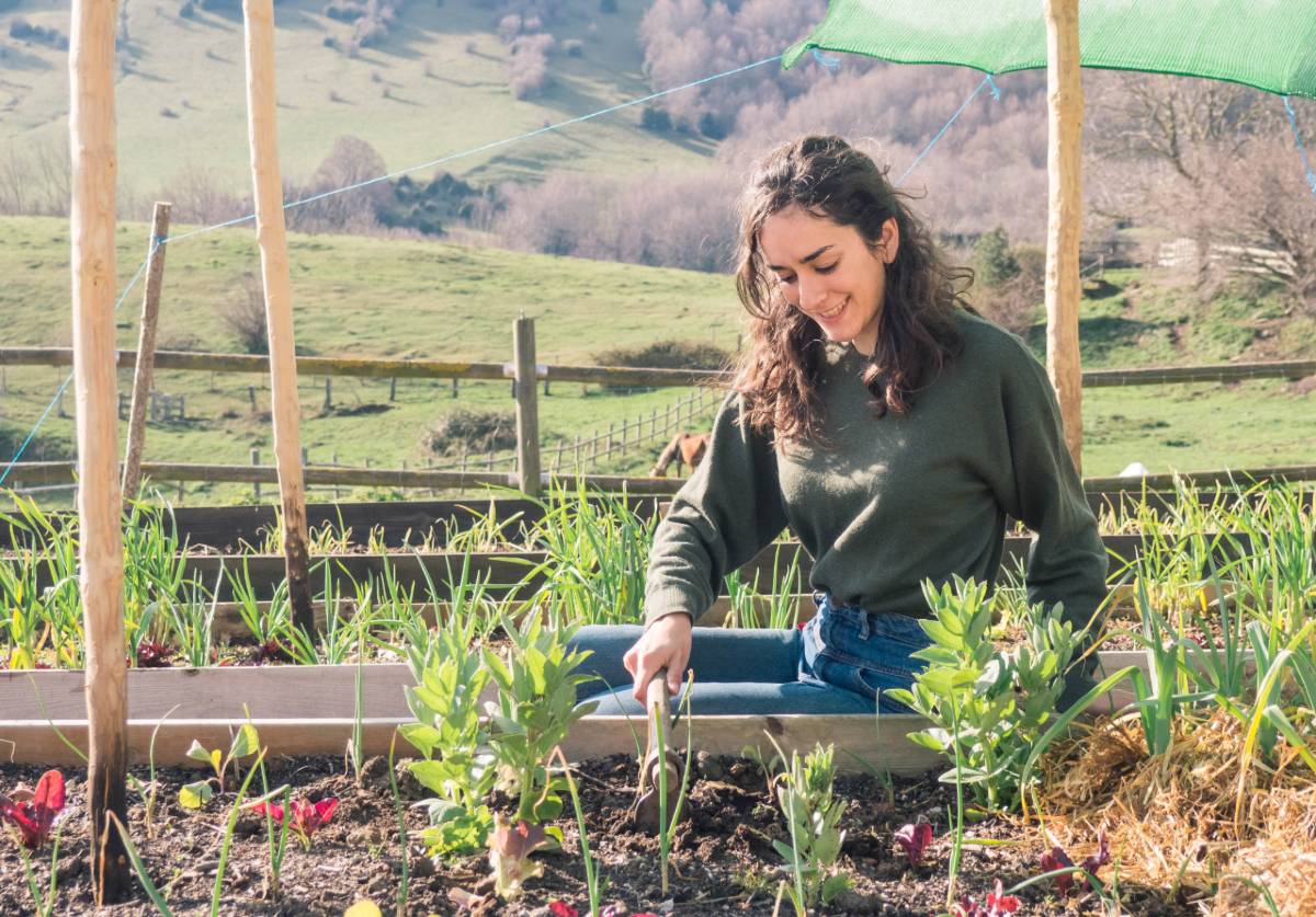 Bingo online y consejos de jardinería ecológica