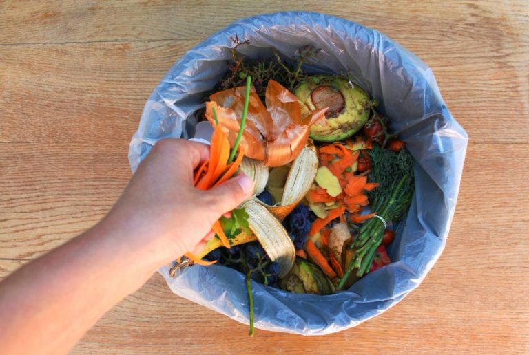 compostaje contenedor marrón verduras bolsa basura
