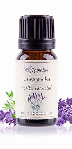 aceite esencial de lavanda labiatae